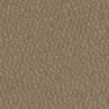 2 Taupe 2 Taupe