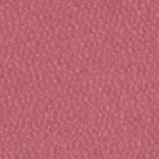 11 Coral 11 Coral