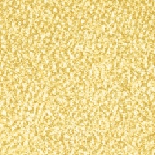 17 Gold 17 Gold