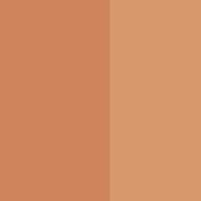 PUMPKIN SPICE PUMPKIN SPICE