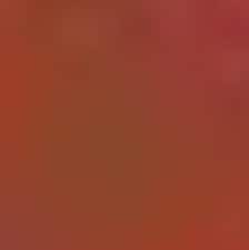 70 Brun Sanguine 70 Brun Sanguine