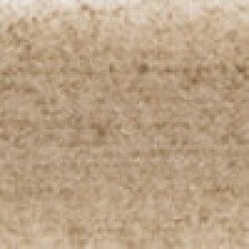 Taupe Taupe