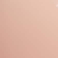 03 - Rose Coquille