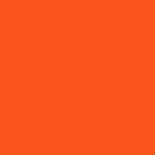 39 - Orange Poppy