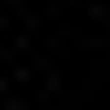 BLACK ICON BLACK ICON