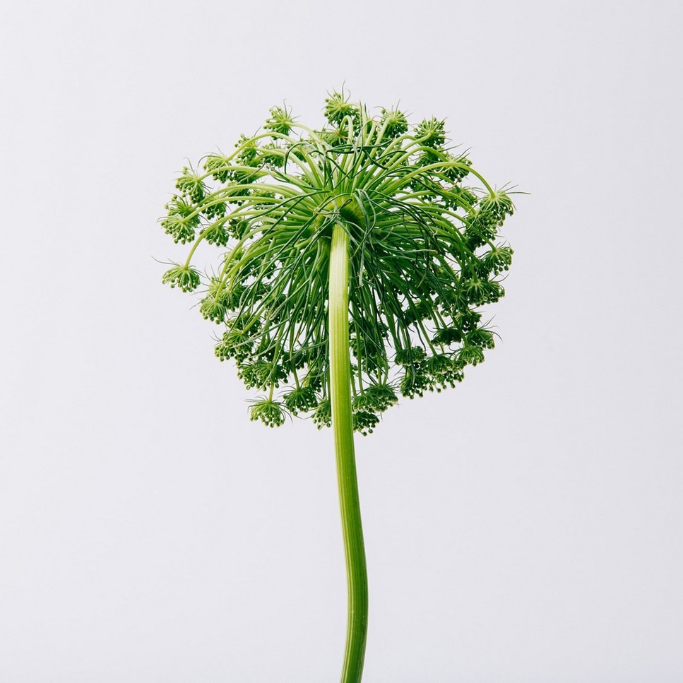 Coffret AIRE Eau de Toilette 3