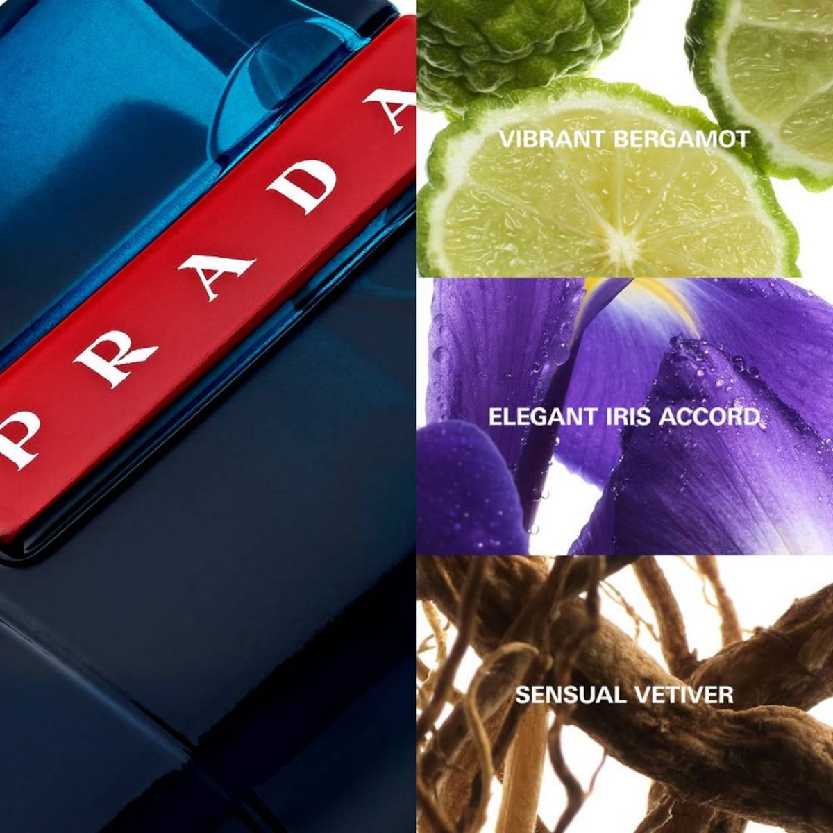 Coffret Luna Rossa Ocean Eau de Toilette 4