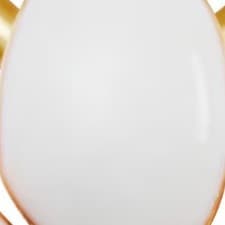 Branco Branco