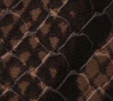 LE PYTHON LE PYTHON