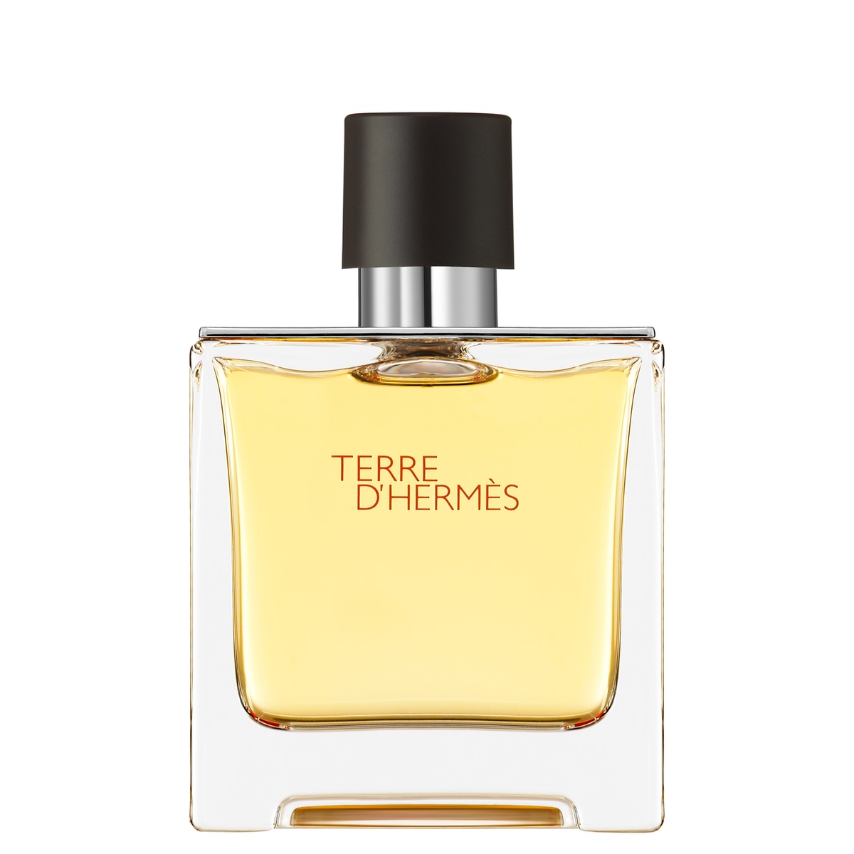 Imagem 0 de Terre d'Hermès Eau de Parfum