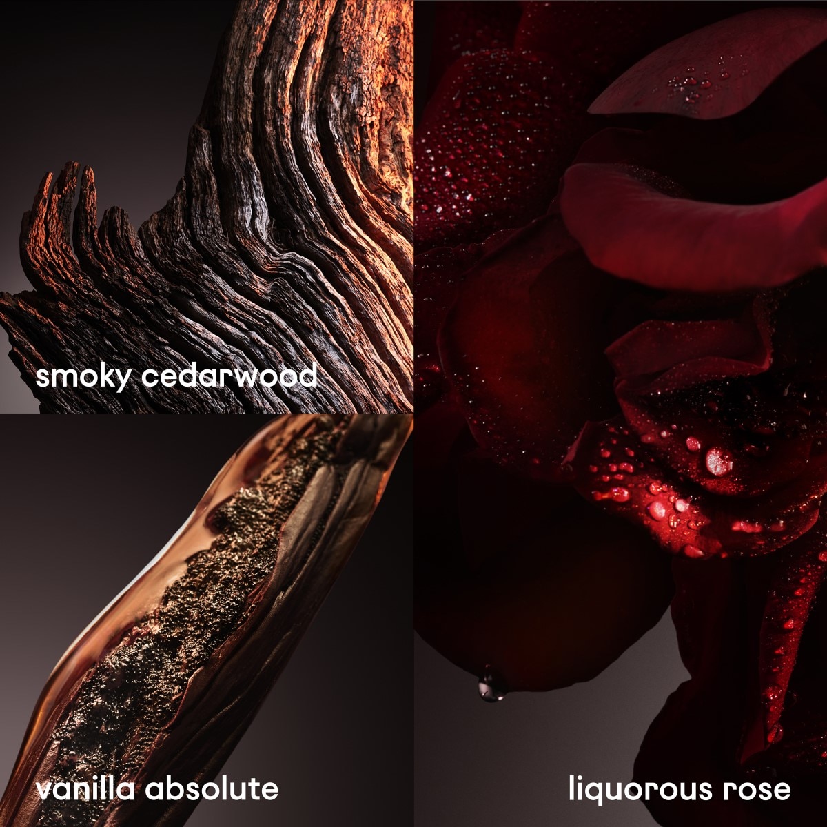 1 Million Elixir Eau de Parfum 4