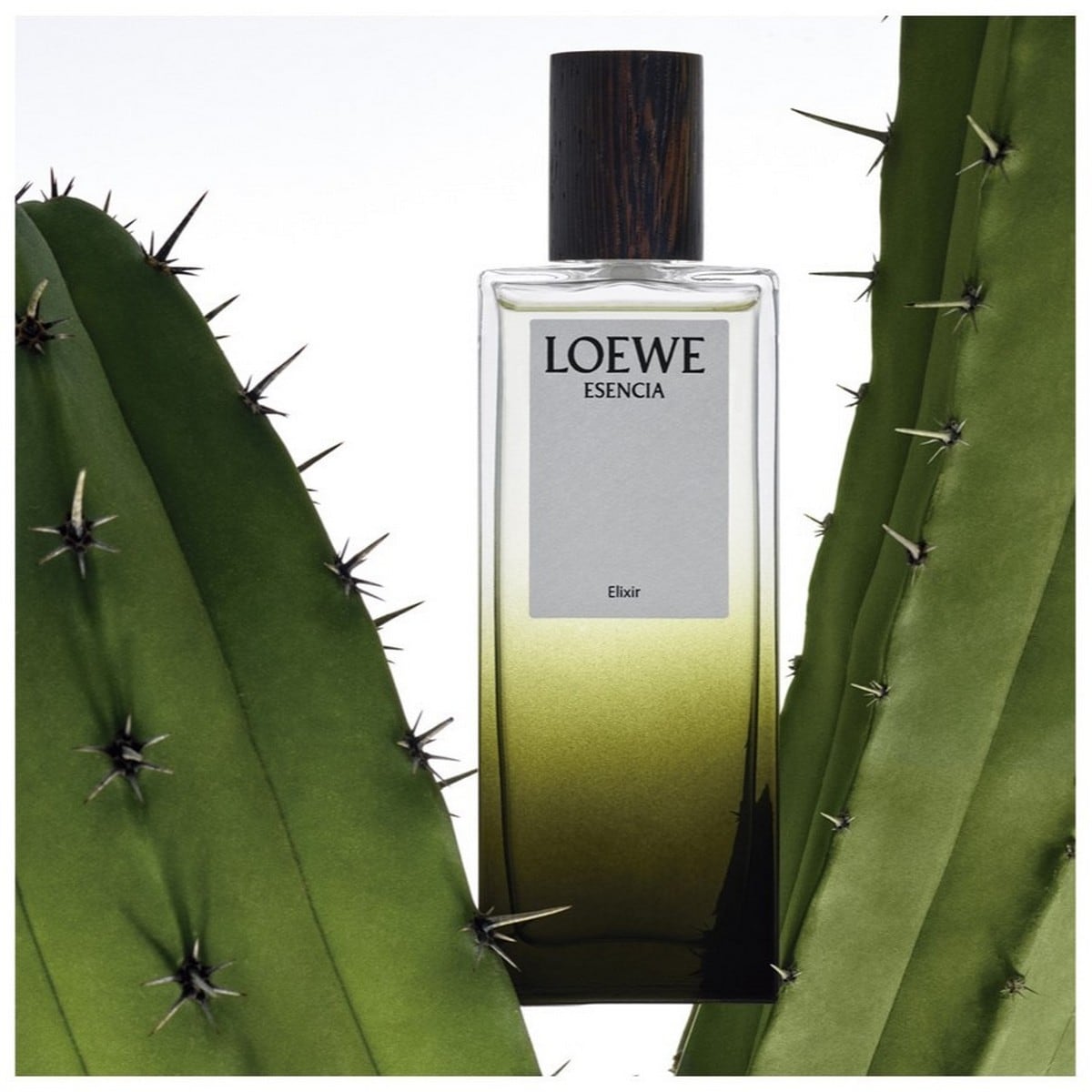 ESENCIA Elixir Eau de Parfum - 100 ml 4