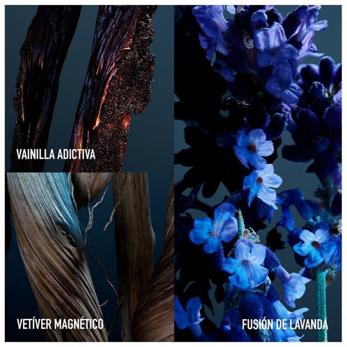 Phantom Parfum Eau de Parfum 3