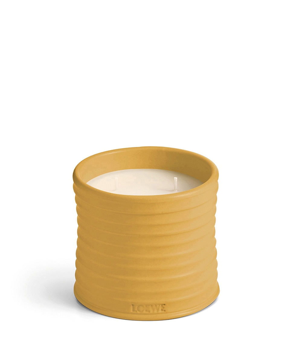 Imagem 0 de Vela Aromática Wasabi