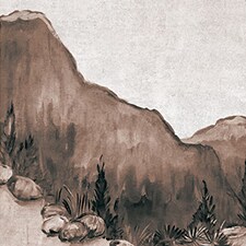 Terra Terra