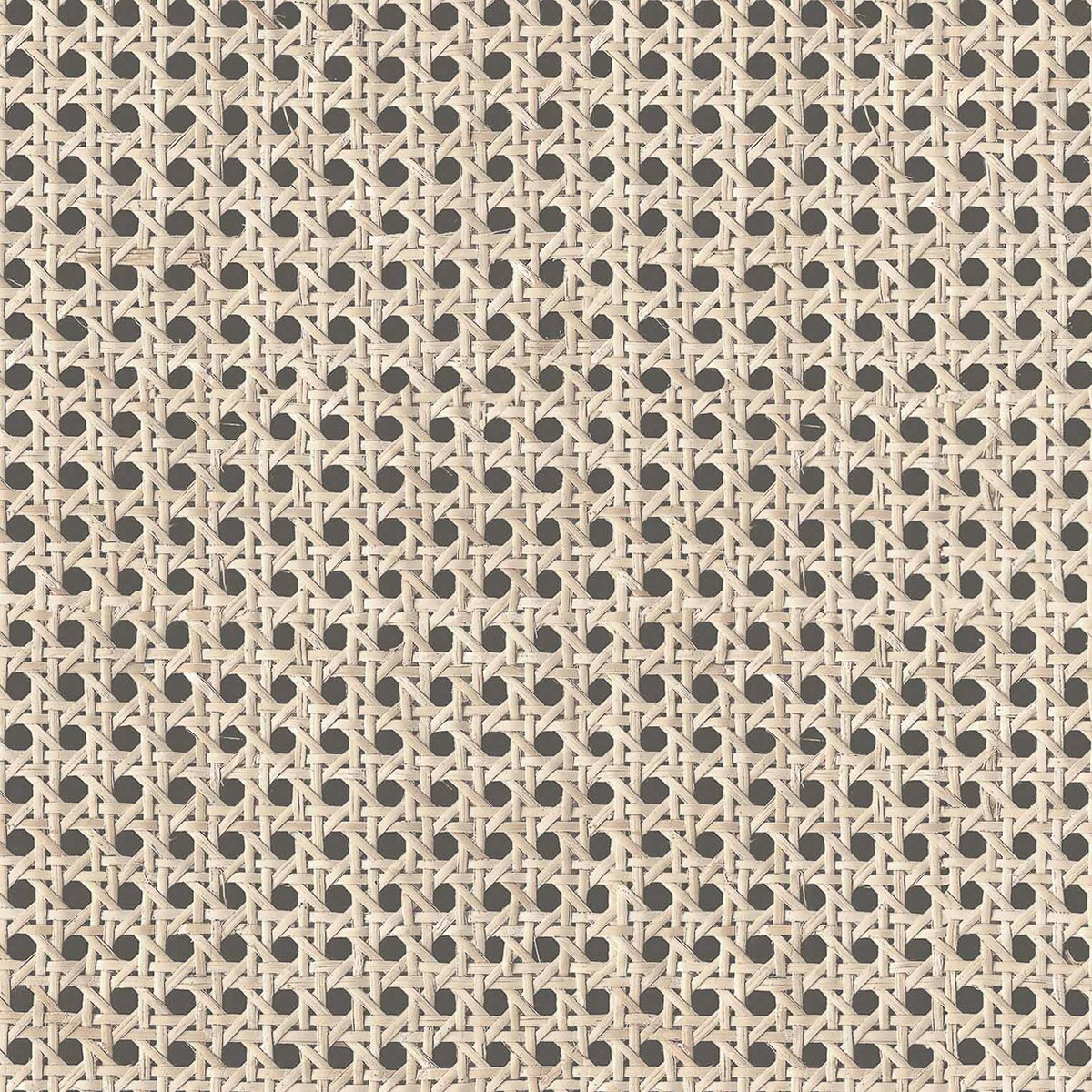 Papel pintado Rejilla Raffias+ Coordonné - Negro 0,5 x 10 m Negro-1