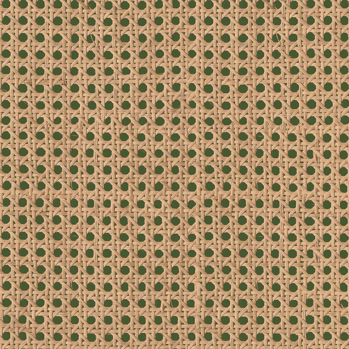 Papel pintado Rejilla Raffias+ Coordonné - Verde 0,5 x 10 m Verde-1
