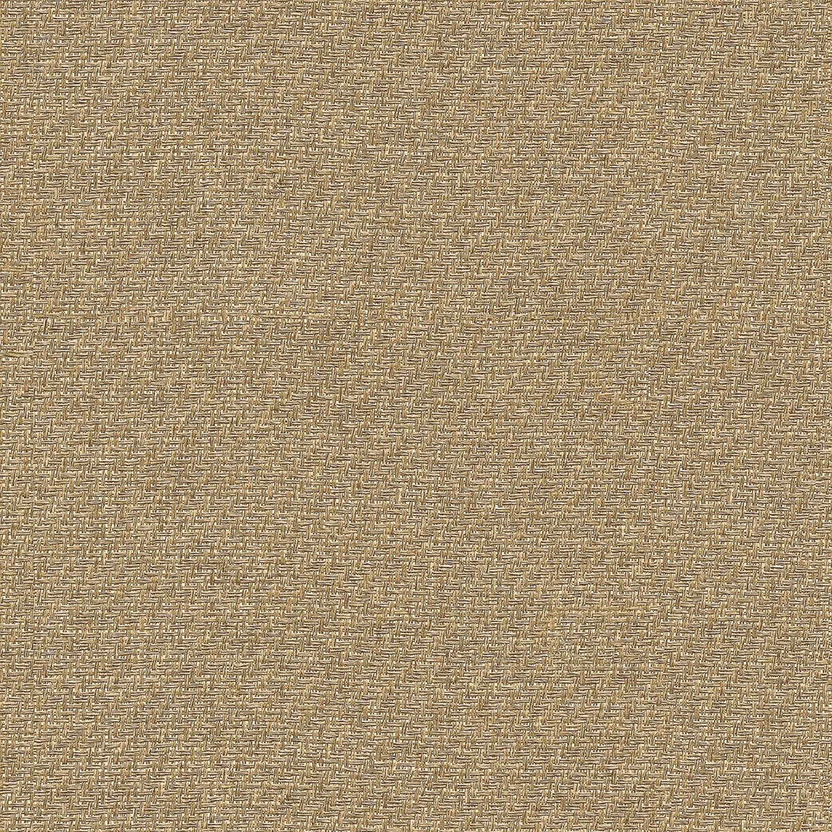 Imagen 1 de Papel pintado Liso texturizado Raffias+ Coordonné - Tostado 0,5 x 10 m Tostado
