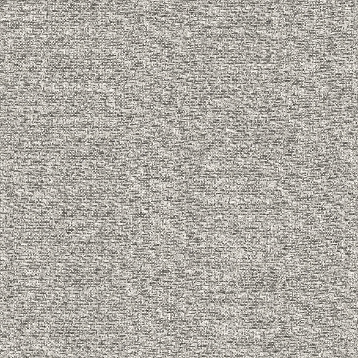Imagen 1 de Papel pintado Liso texturizado Raffias+ Coordonné - Gris claro 0,5 x 10 m Gris claro