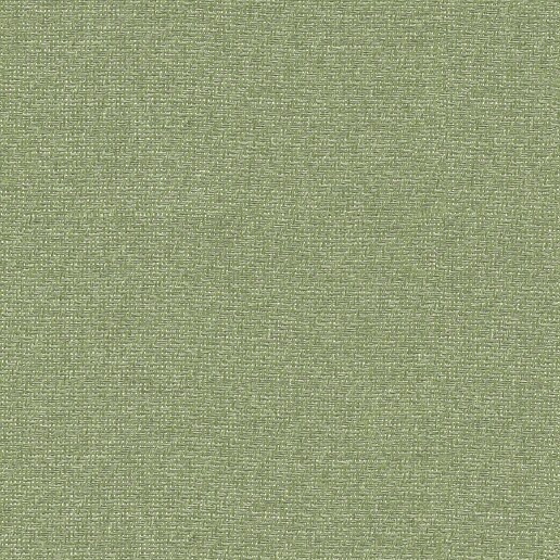 Papel pintado Liso texturizado Raffias+ Coordonné