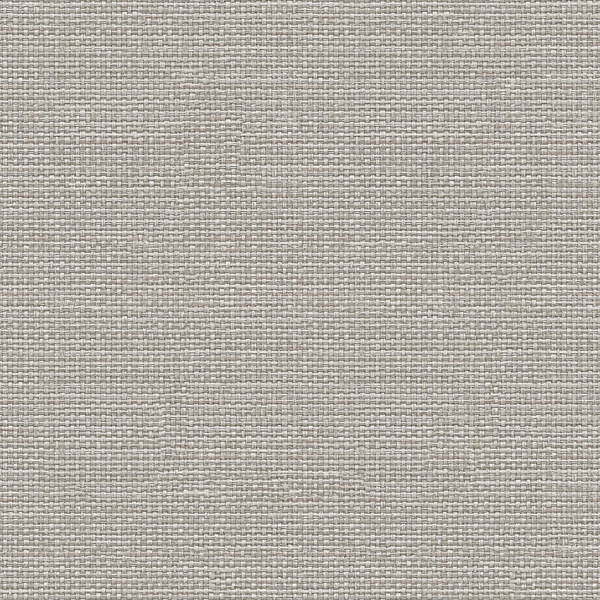 Papel pintado Tejido Raffias+ Coordonné - Gris 0,5 x 10 m Gris-1