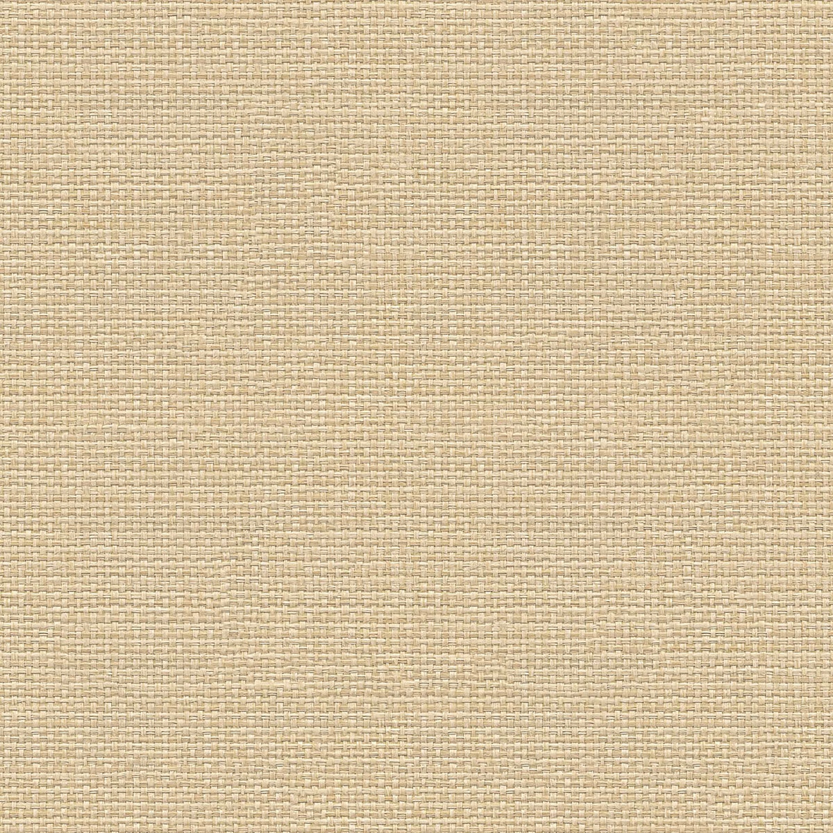 Papel pintado Tejido Raffias+ Coordonné - Beige 0,5 x 10 m Beige-1
