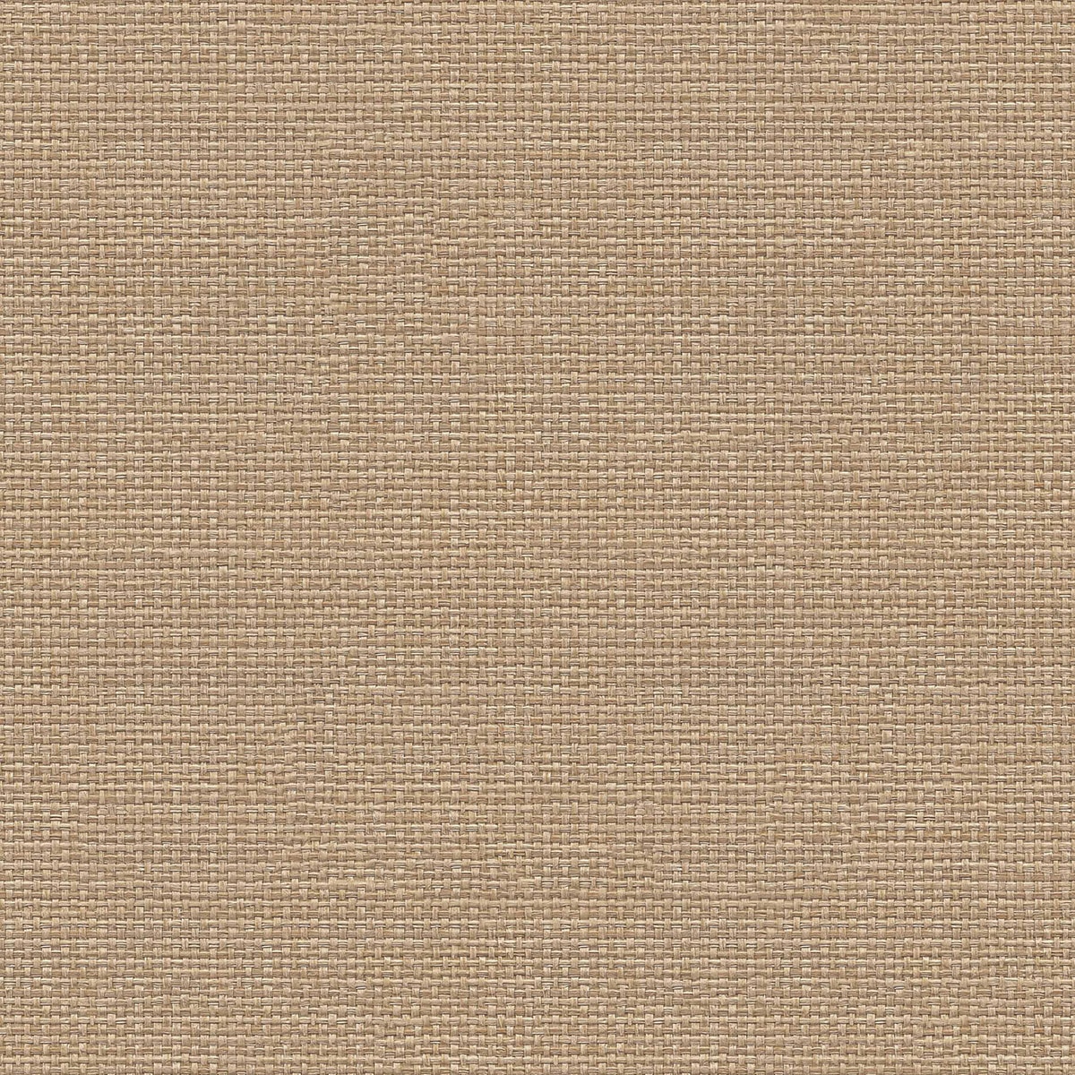 Papel pintado Tejido Raffias+ Coordonné - Tostado 0,5 x 10 m Tostado-1
