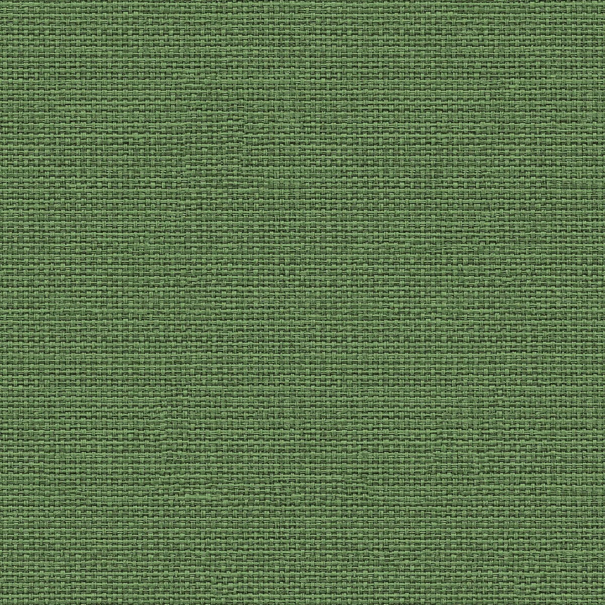 Papel pintado Tejido Raffias+ Coordonné - Verde 0,5 x 10 m Verde-1