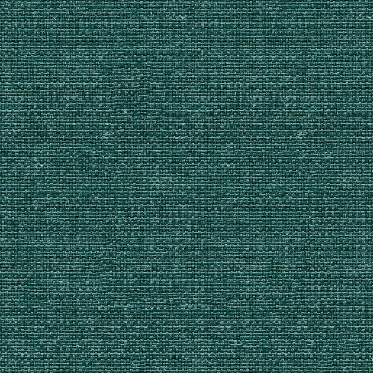 Papel pintado Tejido Raffias+ Coordonné - Verde oscuro 0,5 x 10 m Verde oscuro-1