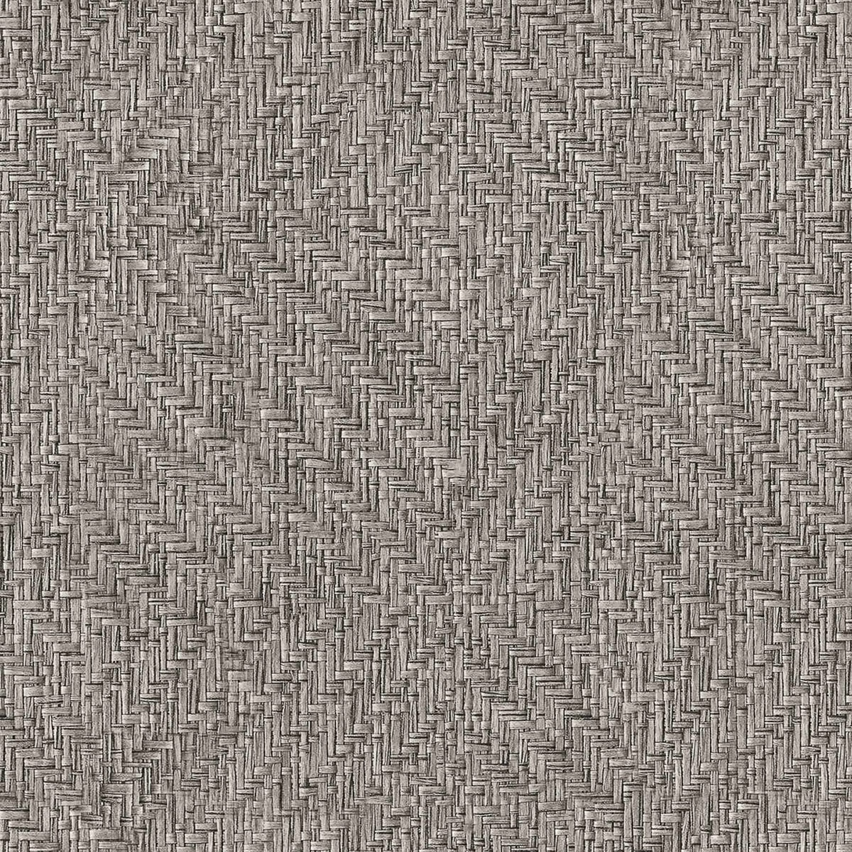 Papel pintado Geométrico texturizado Raffias+ Coordonné - Gris 0,5 x 10 m Gris-1
