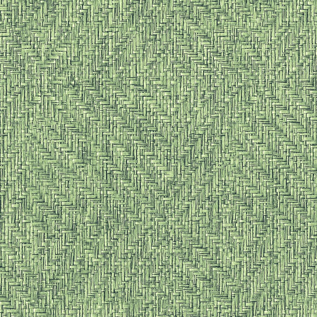 Papel pintado Geométrico texturizado Raffias+ Coordonné - Verde claro 0,5 x 10 m Verde claro-1