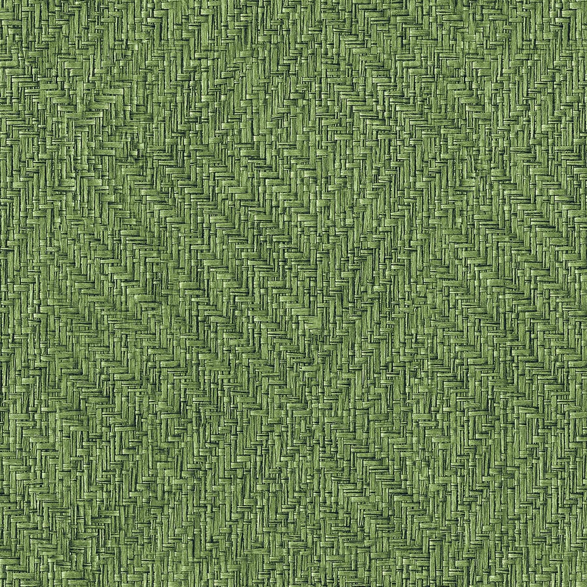 Papel pintado Geométrico texturizado Raffias+ Coordonné - Verde 0,5 x 10 m Verde-1