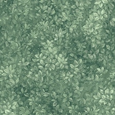 Menta Menta