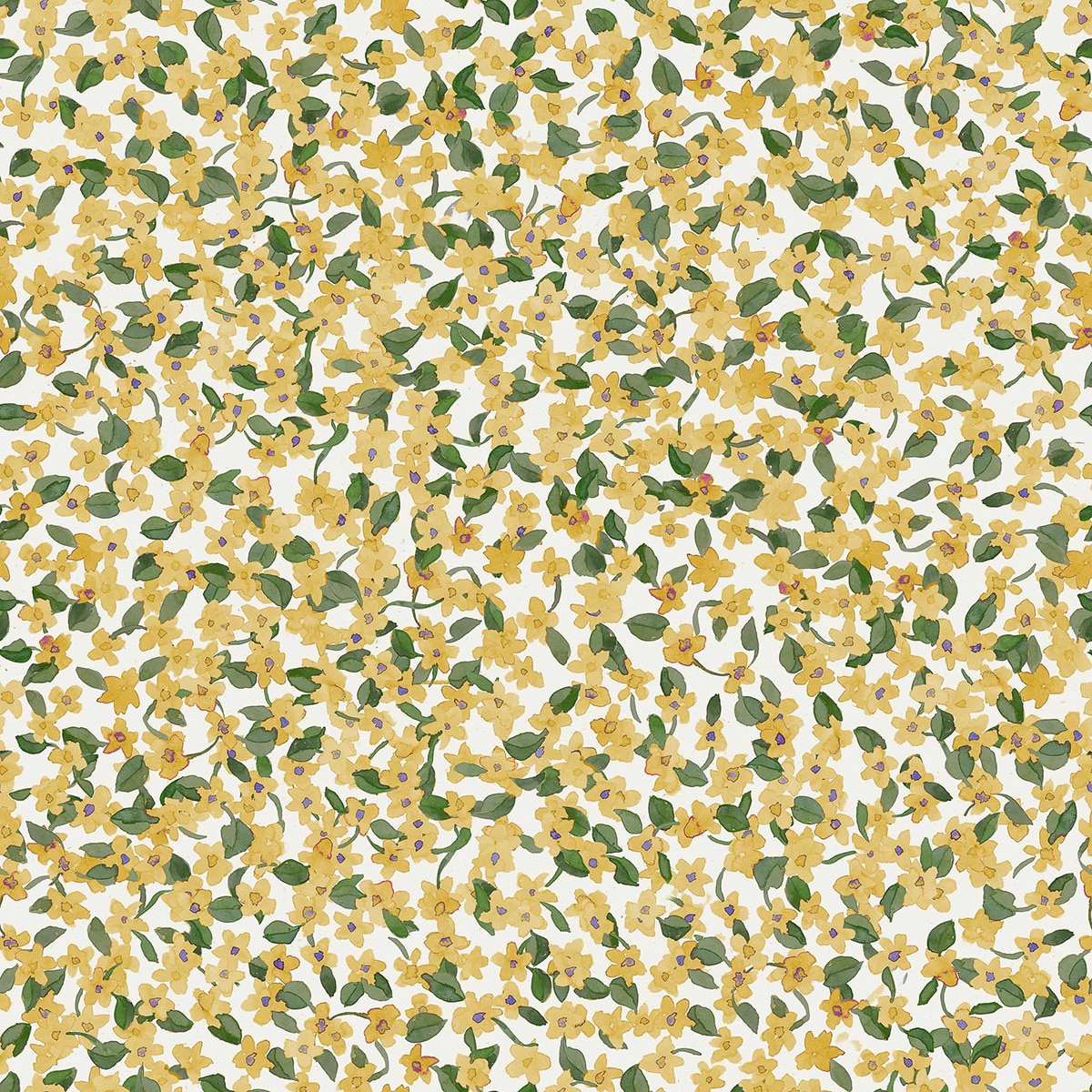 Papel Pintado Ana Feria Curcuma-1