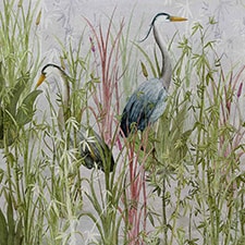 Primavera Primavera