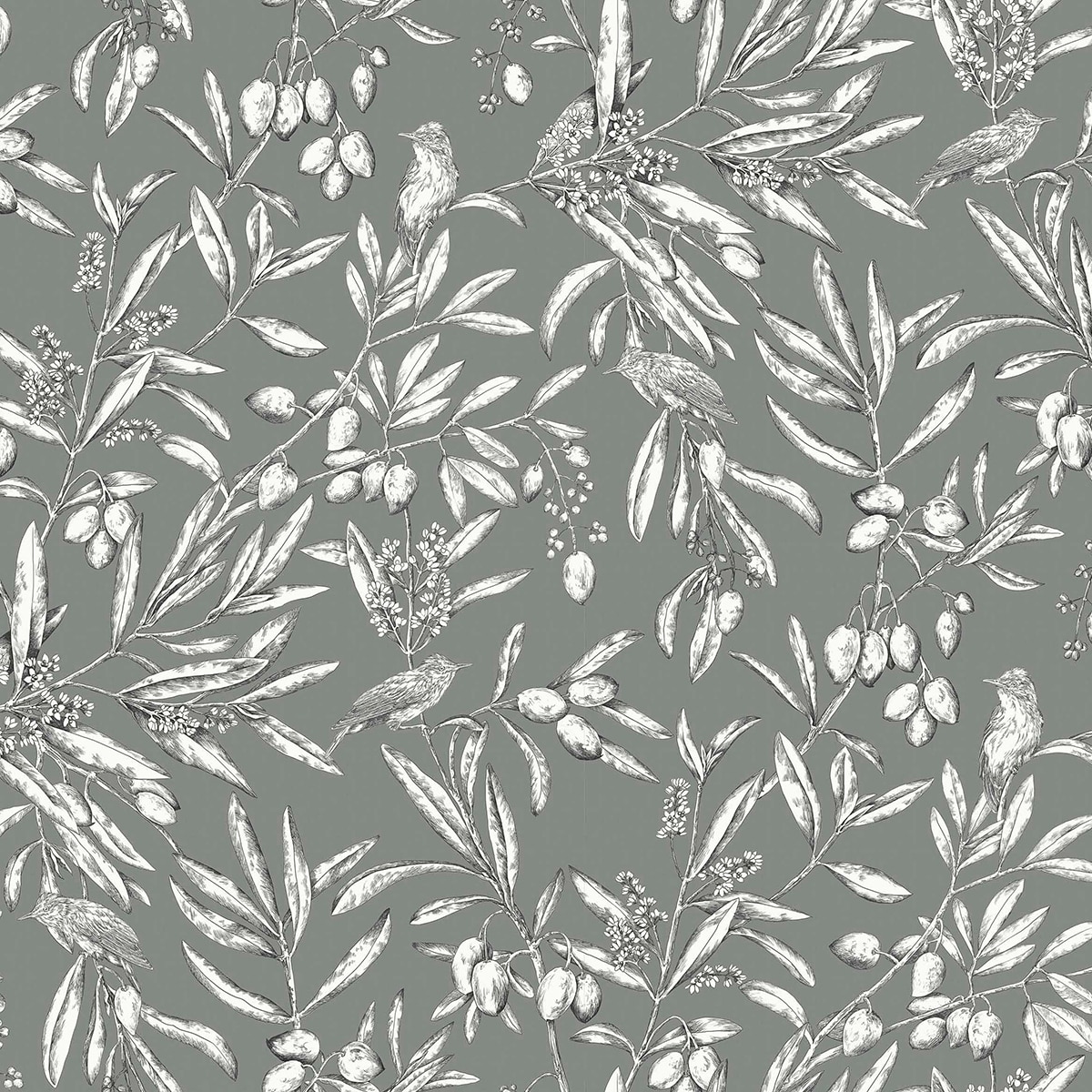 Papel Pintado Azeitona Olivar Céladon-1