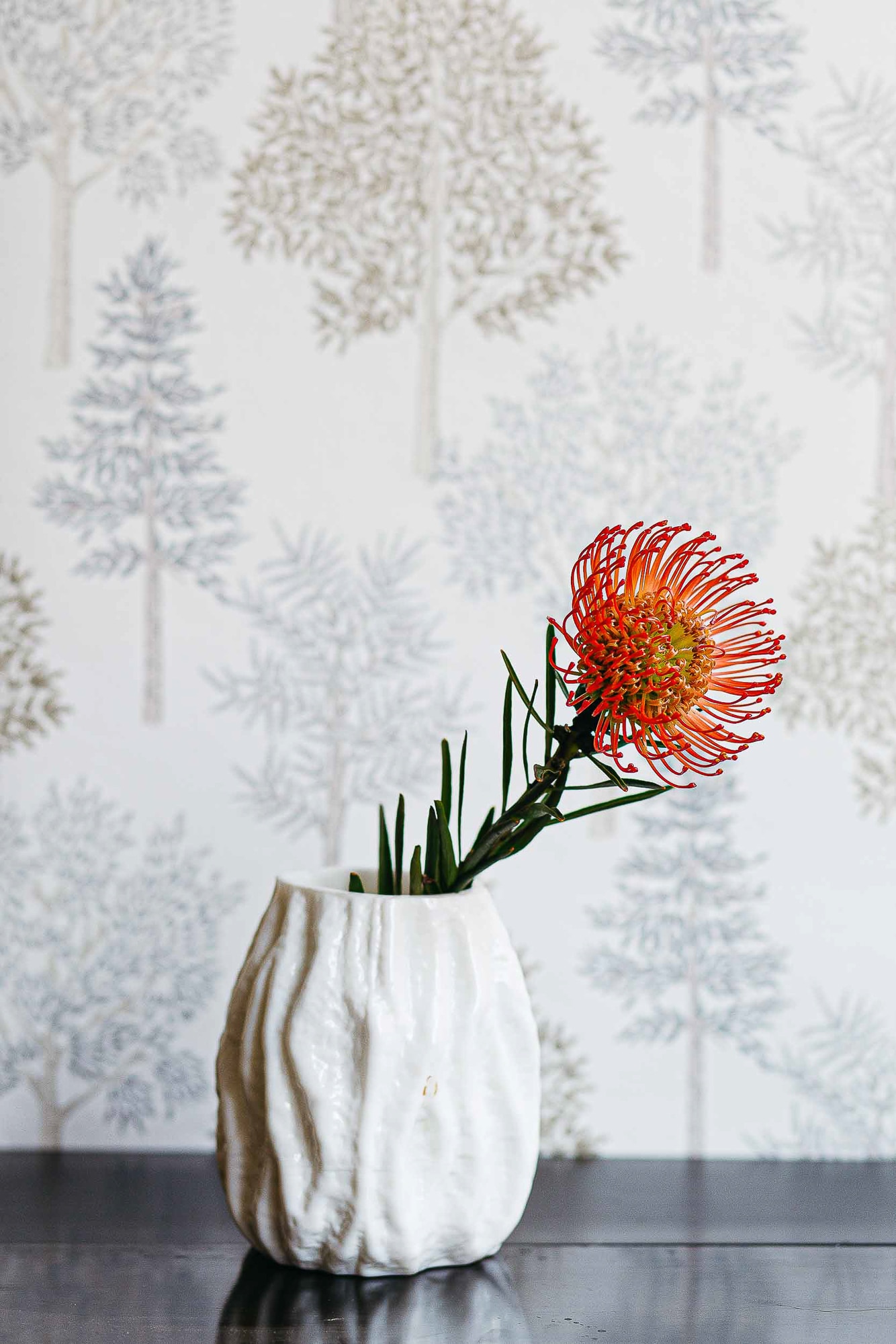 Papel Pintado Arvoredo Olivar Castanho-2