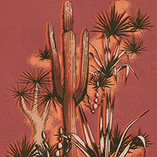Coral Coral