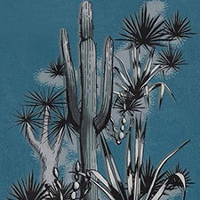 Azul Azul
