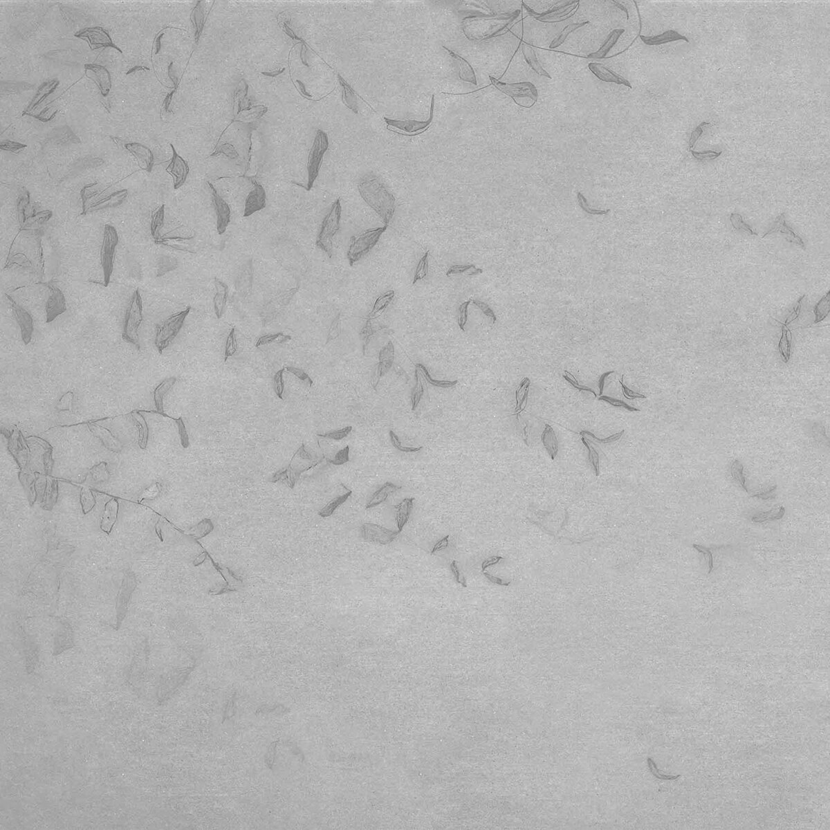 Mural Leaves Reflection Rest Time Coordonné - Gris Gris-1