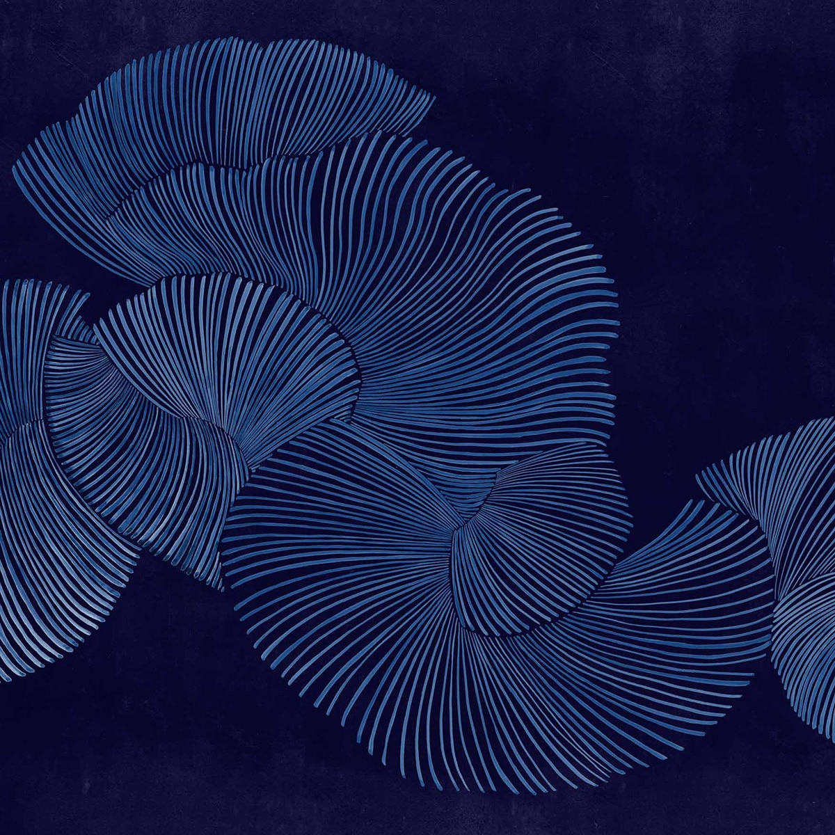 Coordonne - Mural Diving Moment Rest Time Coordonné.