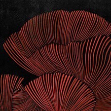 Vermelho