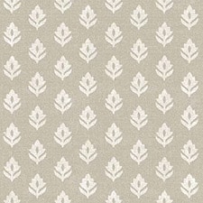 Taupe Taupe
