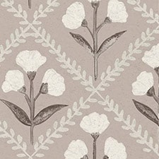Taupe Taupe