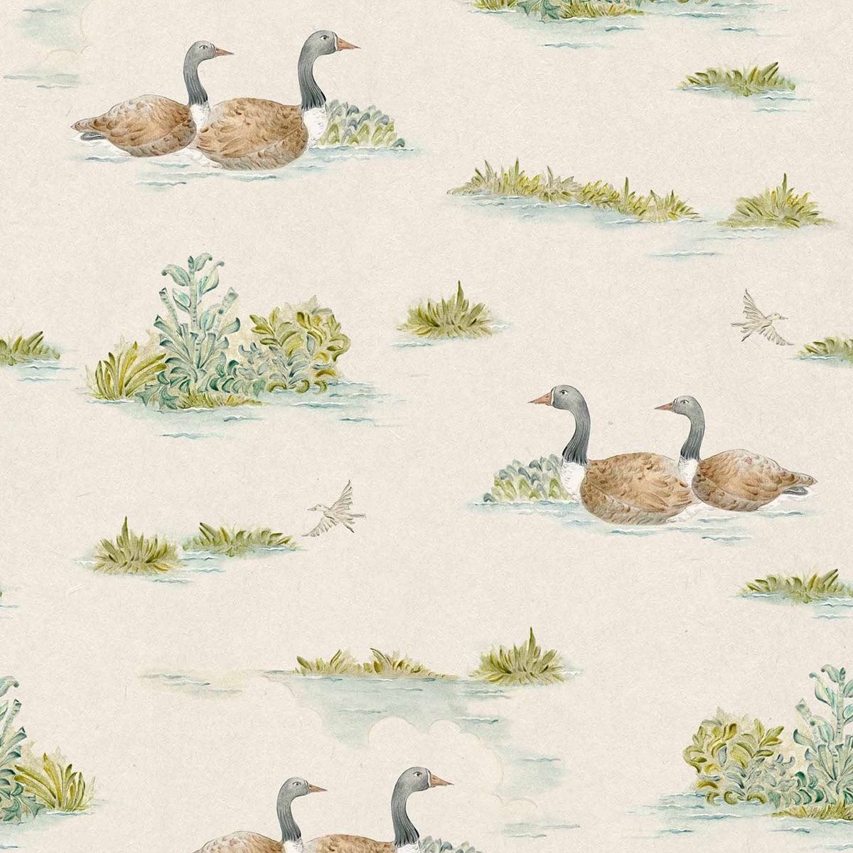Papel pintado Mallard Duck de la colección Cotswolds Ybarra & Serret - Menta Menta-1