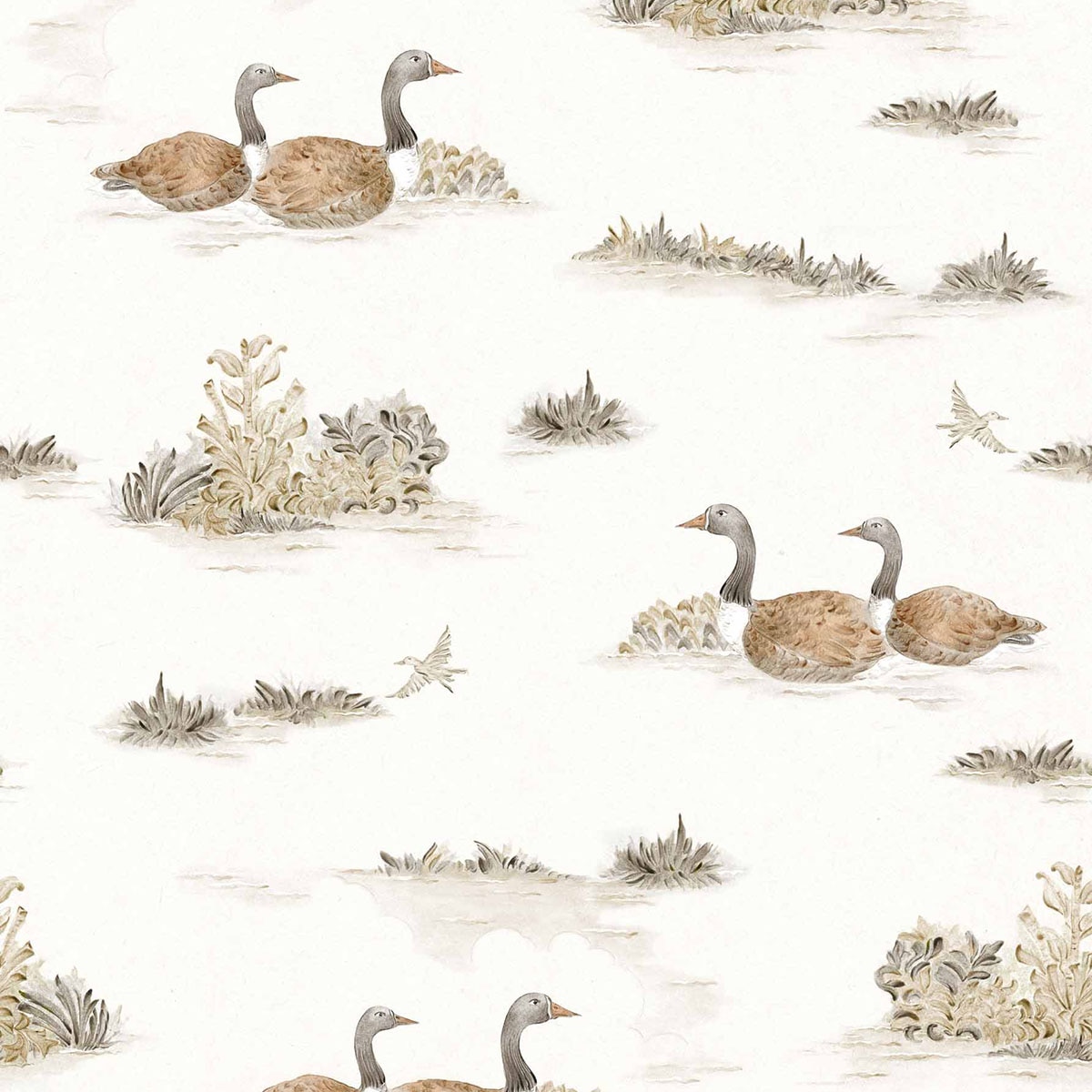 Imagem 0 de Papel de Parede Mallard Duck da Coleção Cotswolds