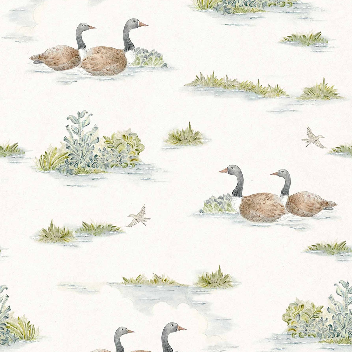 Papel pintado Mallard Duck de la colección Cotswolds Ybarra & Serret - Verde Verde-1
