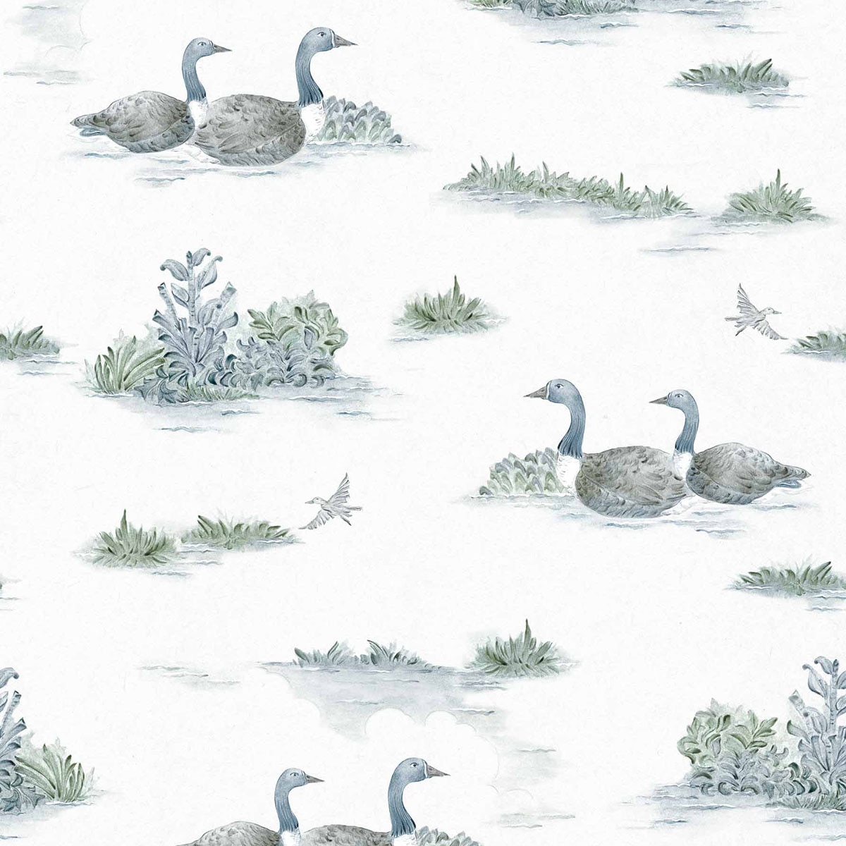 Imagem 0 de Papel de Parede Mallard Duck da Coleção Cotswolds