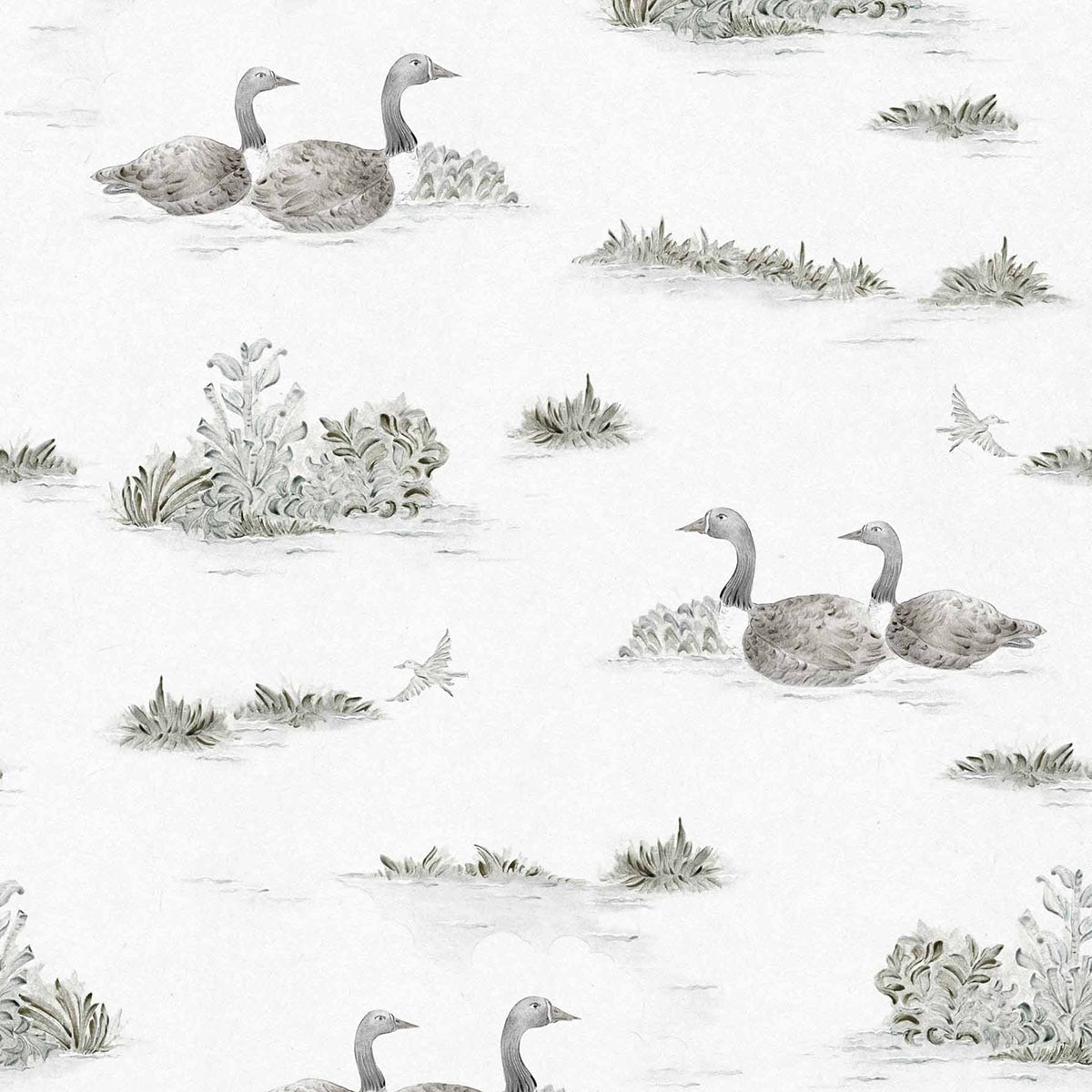 Imagen 0 de Papel pintado Mallard Duck de la colección Cotswolds Ybarra & Serret Plata