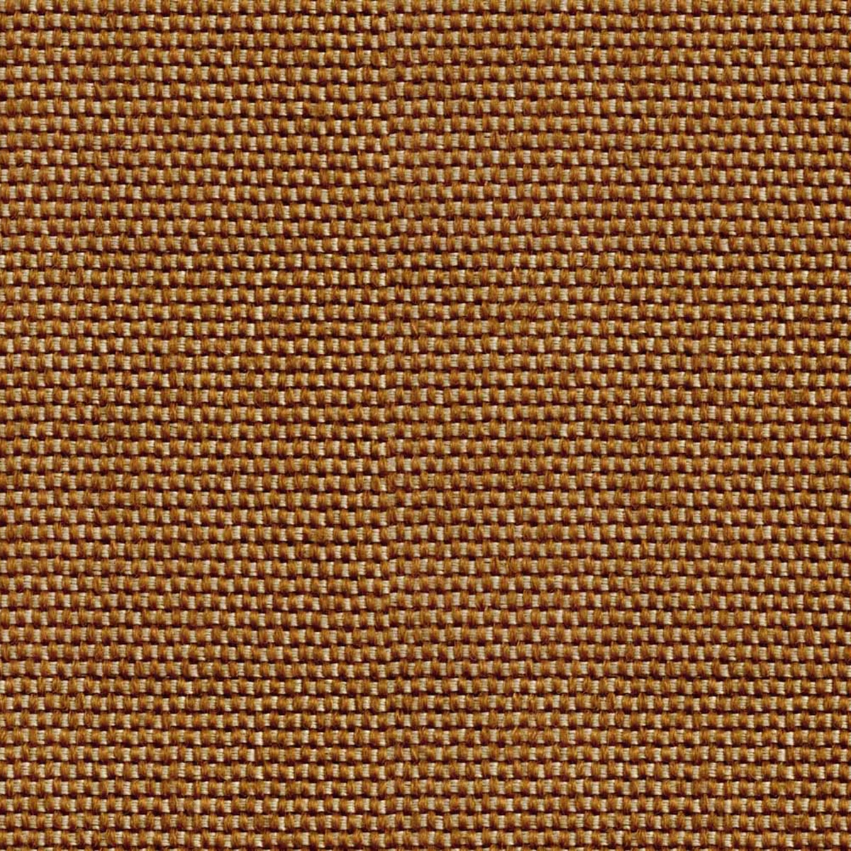 Imagem 0 de Papel de Parede Yuca da Coleção Sarape